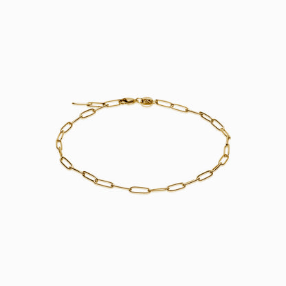 Link Anklet
