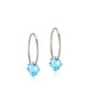 Natural Titanium Bicone Pendant 14mm Ear Rings