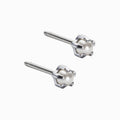 Silver Titanium 4mm Prong Set Pearl Earrings