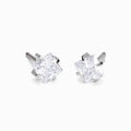 Silver Titanium 5mm Prong Set Edge CZ Earrings