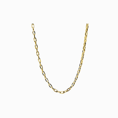 Medium Link Necklace in Golden