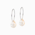 Drop Crystal Pendant Earrings