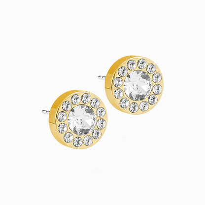 Golden Titanium 8mm Brilliance Halo Earrings