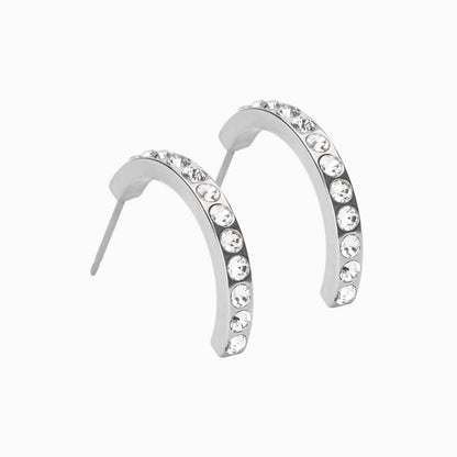 Pendant Brilliance Curved Crystal Earrings