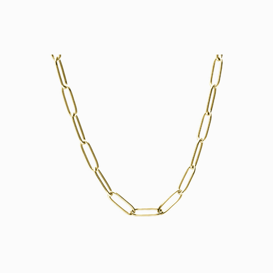 Link necklace in gold