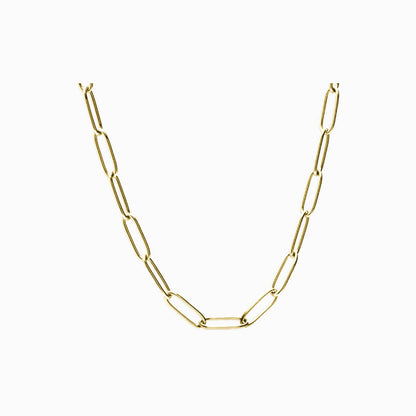 Link necklace in gold