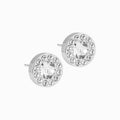 Silver Titanium Brilliance Halo Earrings
