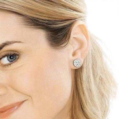 Silver Titanium Brilliance Plenary Earrings
