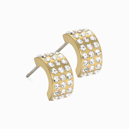 Golden Titanium 10mm Pendant Grand Brilliance Curved Earrings