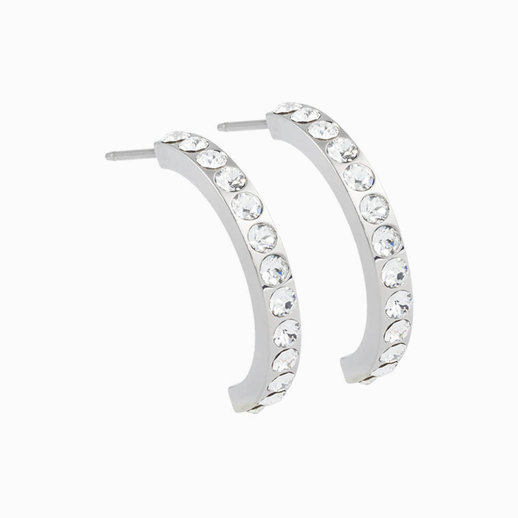 Pendant Brilliance Curved Crystal Earrings