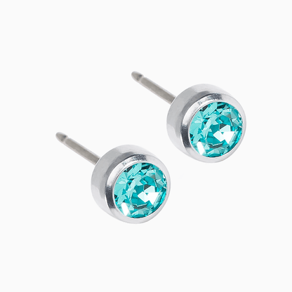 Silver Titanium Bezel Turquoise Earrings